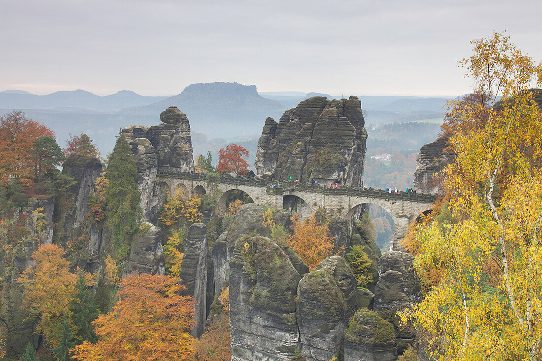  Bastei Bridge, Elbe Sandstone Mountains, Saxon Switzerland National Park, Saxony, Germany 