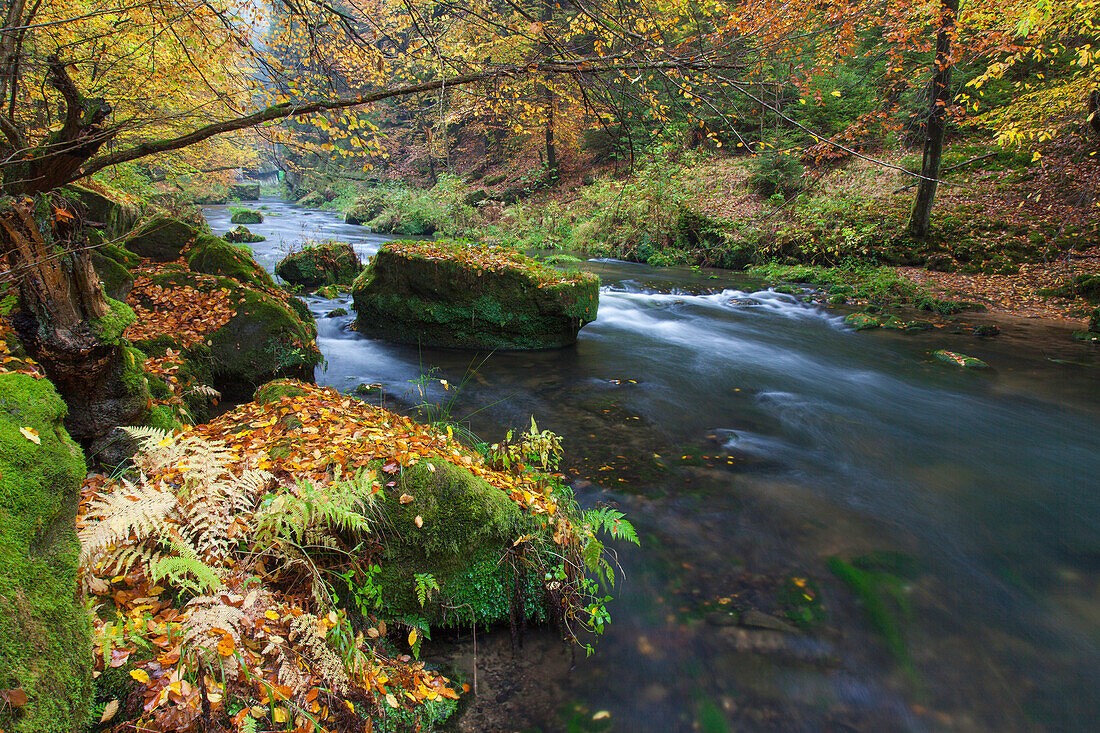 Kamnitzklamm, Herbst, Nationalpark Böhmische Schweiz, Tschechien