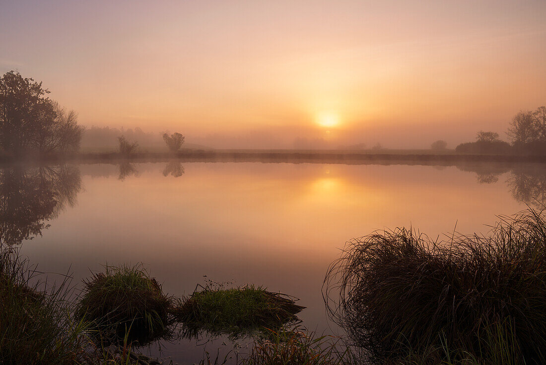  Sunrise at a pond in the Oberland, Bavaria, Germany 