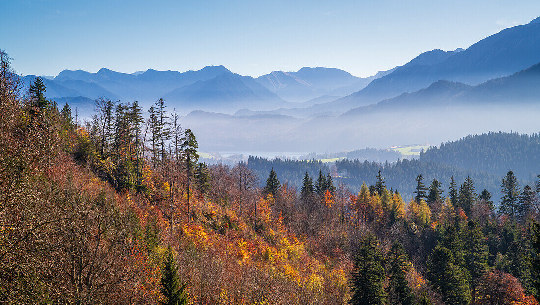  View from the Hohenfreyberg castle ruins to the Allgäu Alps in autumn, Bavaria, Germany, Europe 