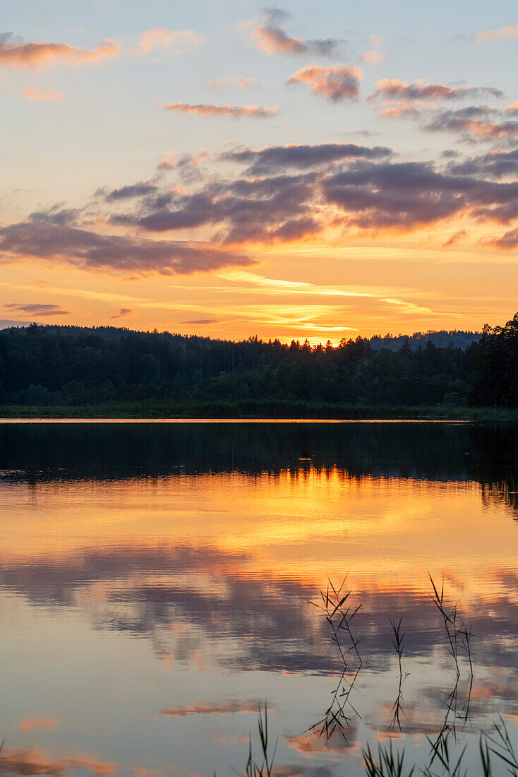  Evening mood at the large Ostersee, Bavaria, Germany, Europe 