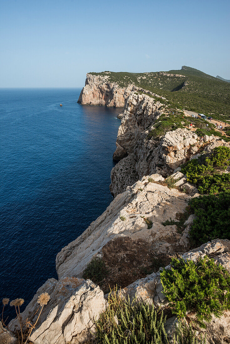 Küste mit steilen Klippen, Capo Caccia, bei Alghero, Sardinien, Italien