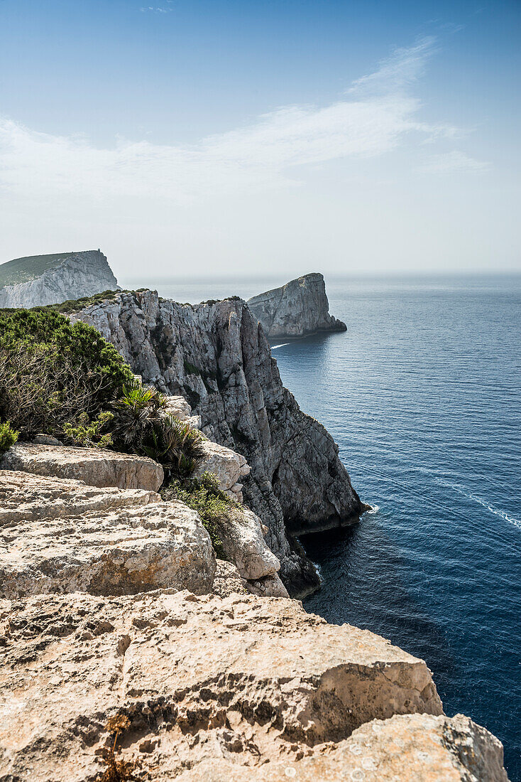  Coast with steep cliffs, Capo Caccia, near Alghero, Sardinia, Italy 