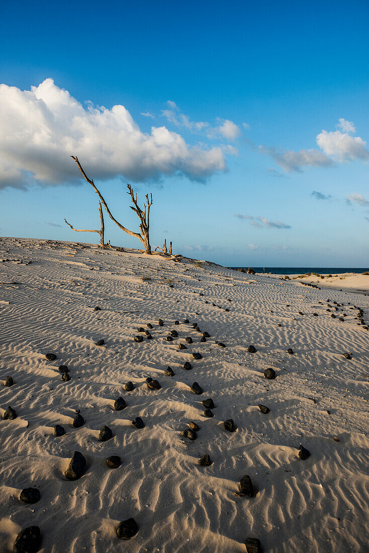  Lonely white sandy beach with dunes, sunrise, Porto Pino, Sardinia, south coast, Italy 