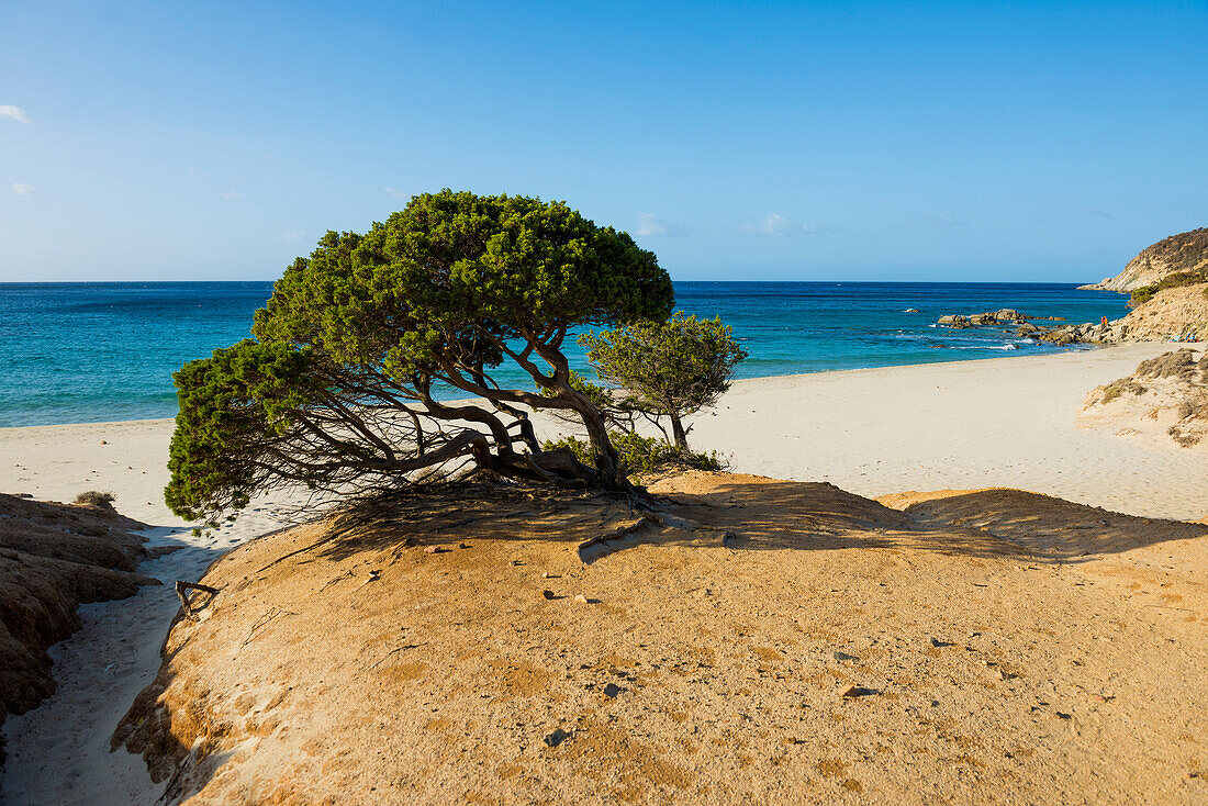  Lonely sandy beach and rocks, Spiaggia di Porto Sa Ruxi, Villasimius, south coast, Sardinia, Italy 