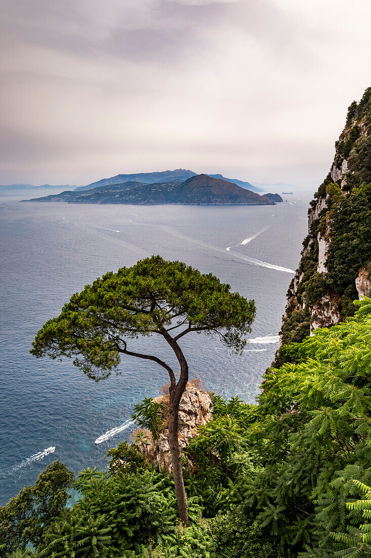  View from Villa Lysis to Marina Grande Capri, Gulf of Naples, Italy 