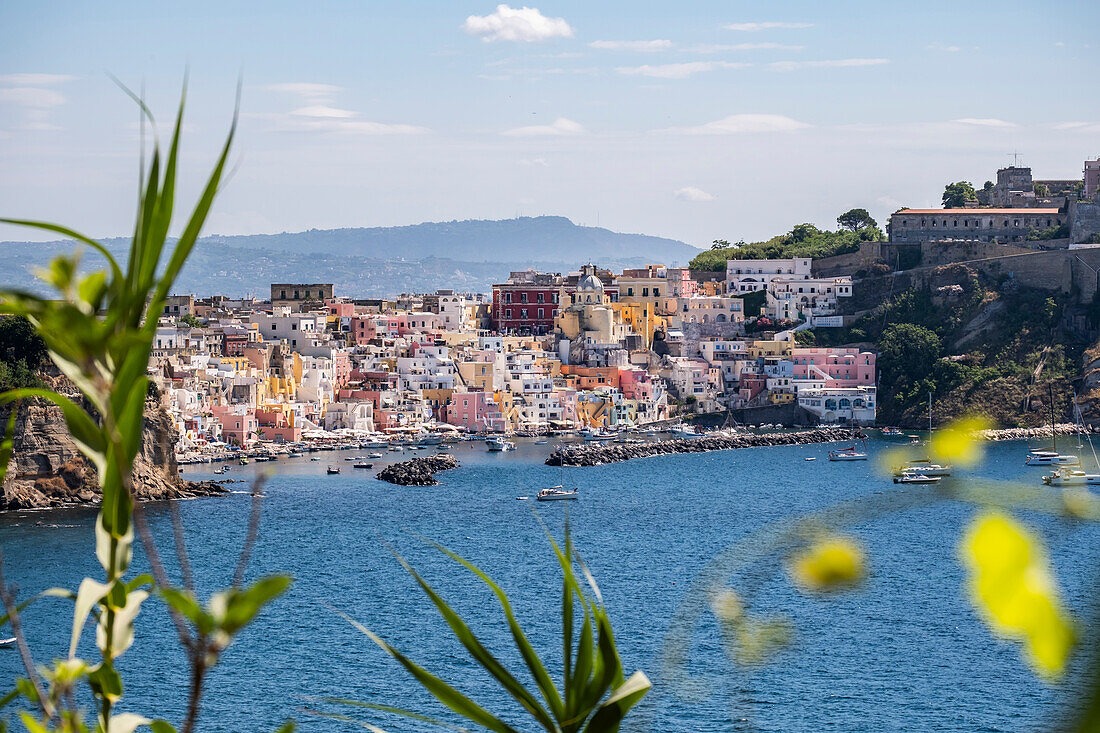 Häuser und Blick auf Marina Corricella, Insel Procida, Golf von Neapel, Italien