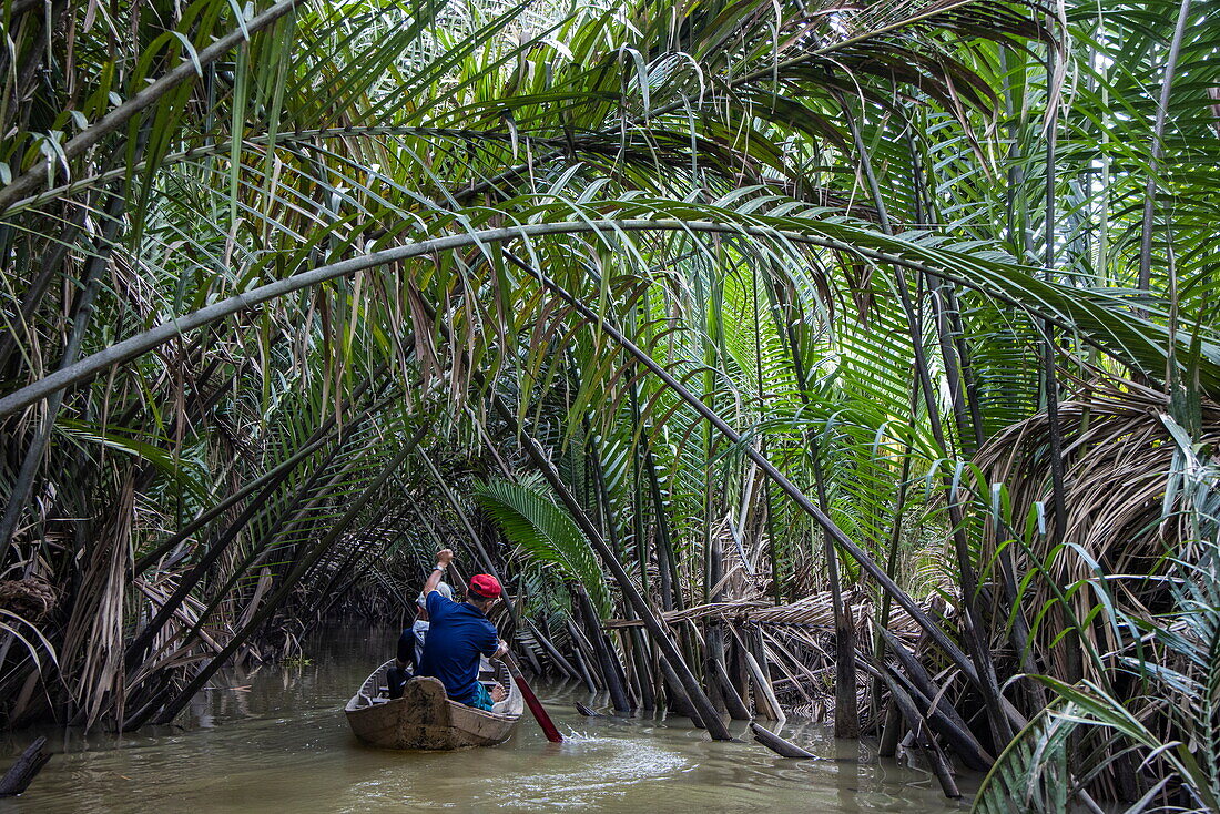  Excursion with a sampan boat through coconut trees and jungle on a branch of the Mekong in the hinterland of Ben Tre in the Mekong Delta, Quoi Son, Chau Thanh, Ben Tre, Vietnam, Asia 