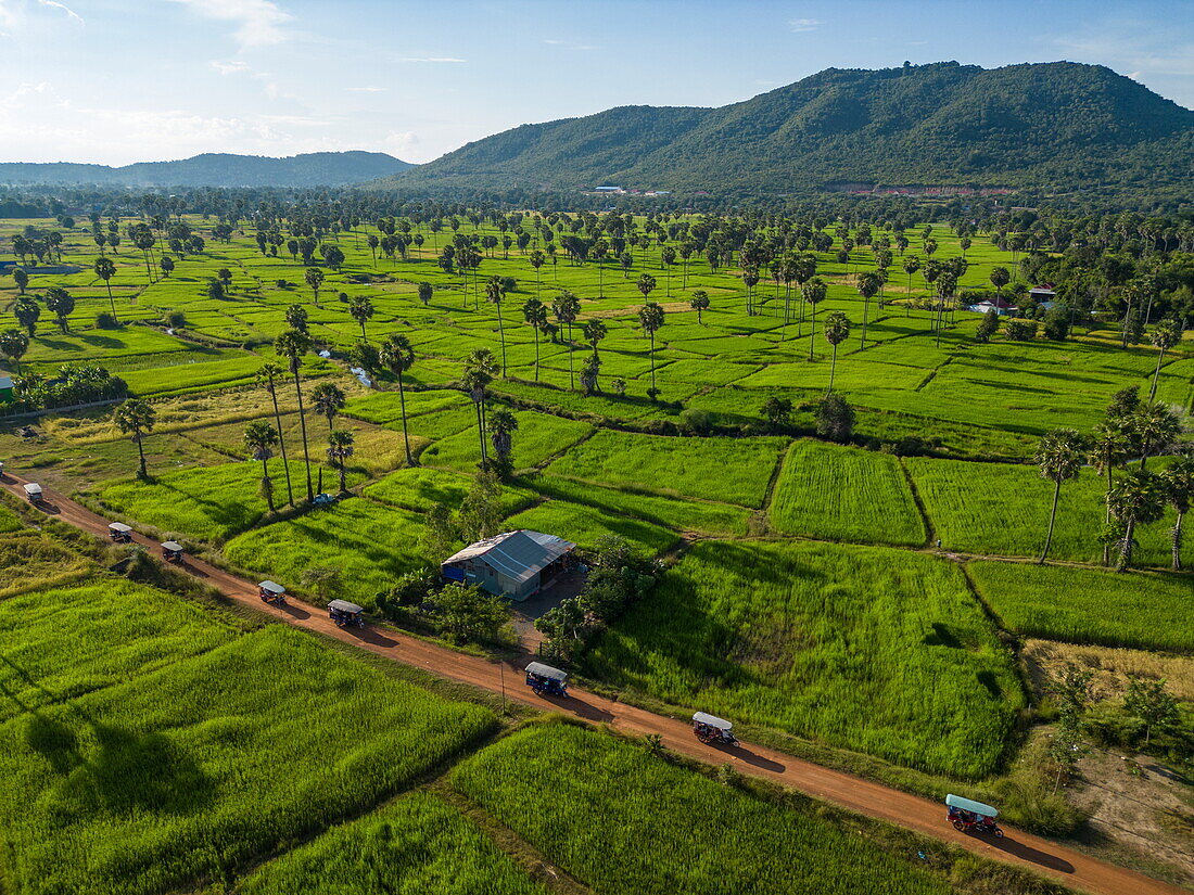  Aerial view of tuk-tuks driving on a dirt road through rice fields, Srae Thmei, Rolea B&#39;ier District, Kampong Chhnang, Cambodia, Asia 