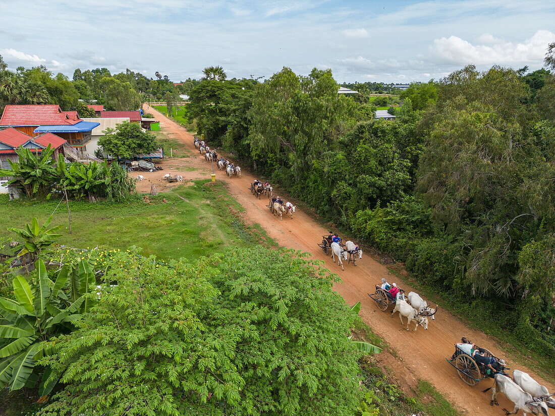  Aerial view of an ox cart ride on dirt road, Kampong Tralach, Kampong Tralach District, Kampong Chhnang, Cambodia, Asia 