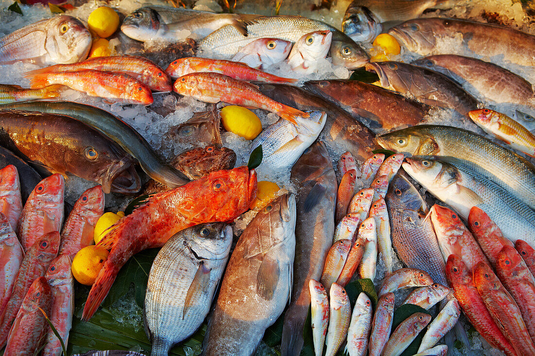 A selection of fresh sea fish displayed on a counter at a local restaurant in Gumusluk, Mugla Province, Turkey.