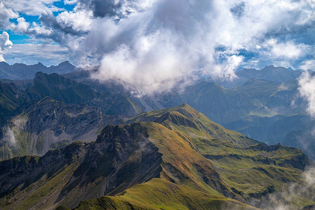 Blick auf grüne Berggipfel im Oberallgäu, Berggrat, Berglandschaft, Gipfel, Gipfelgrat, Panoramaweg, Alpen, Oberallgäu, Bayern, Deutschland\n