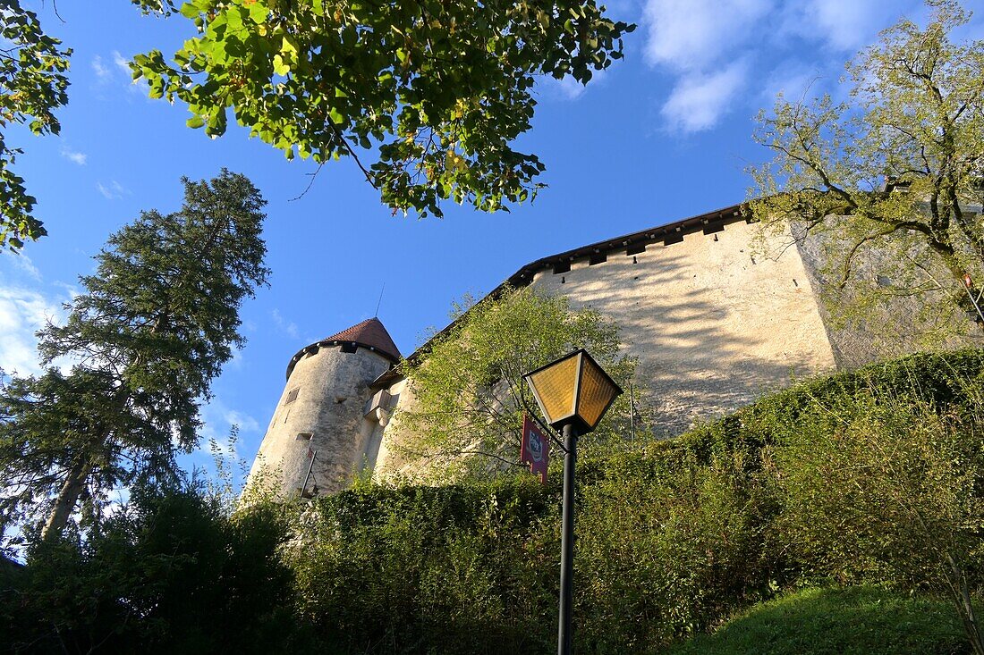  Bled Castle above Lake Bled, Julian Alps, Slovenia 