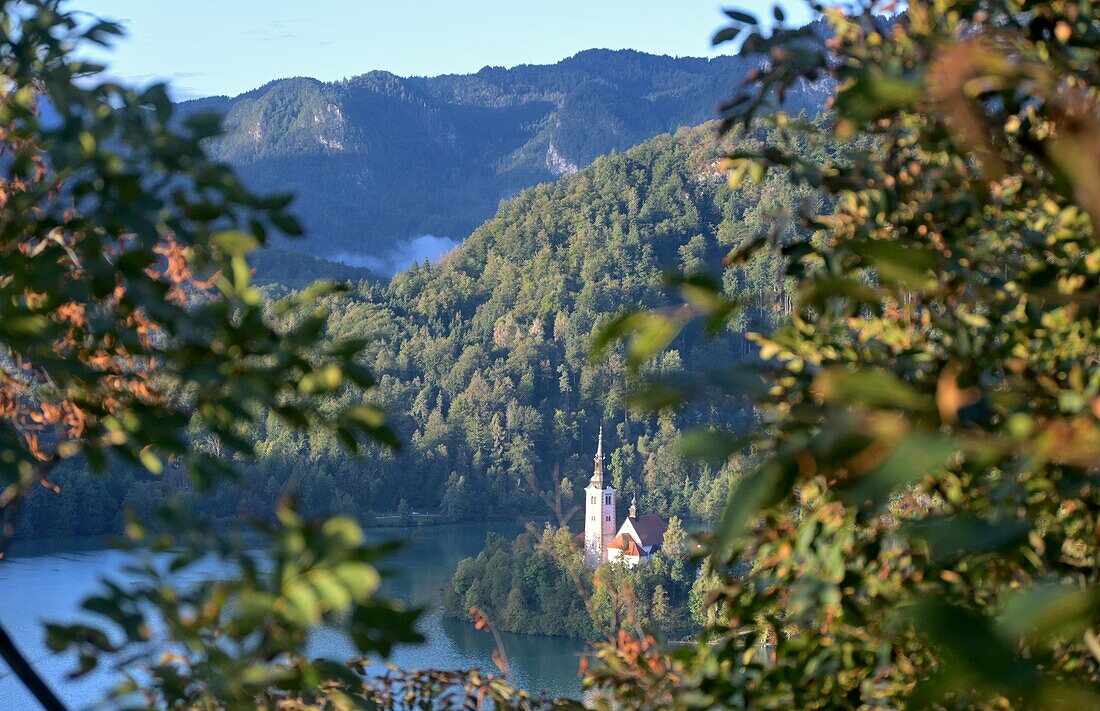 Blick von der Burg von Bled über den Bleder See und die Seeinsel, Julische Alpen, Slowenien