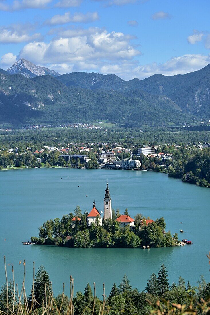 Blick vom Osojnica am Bleder See mit See-Insel und Sveti Maria, Bled, Julische Alpen, Slowenien