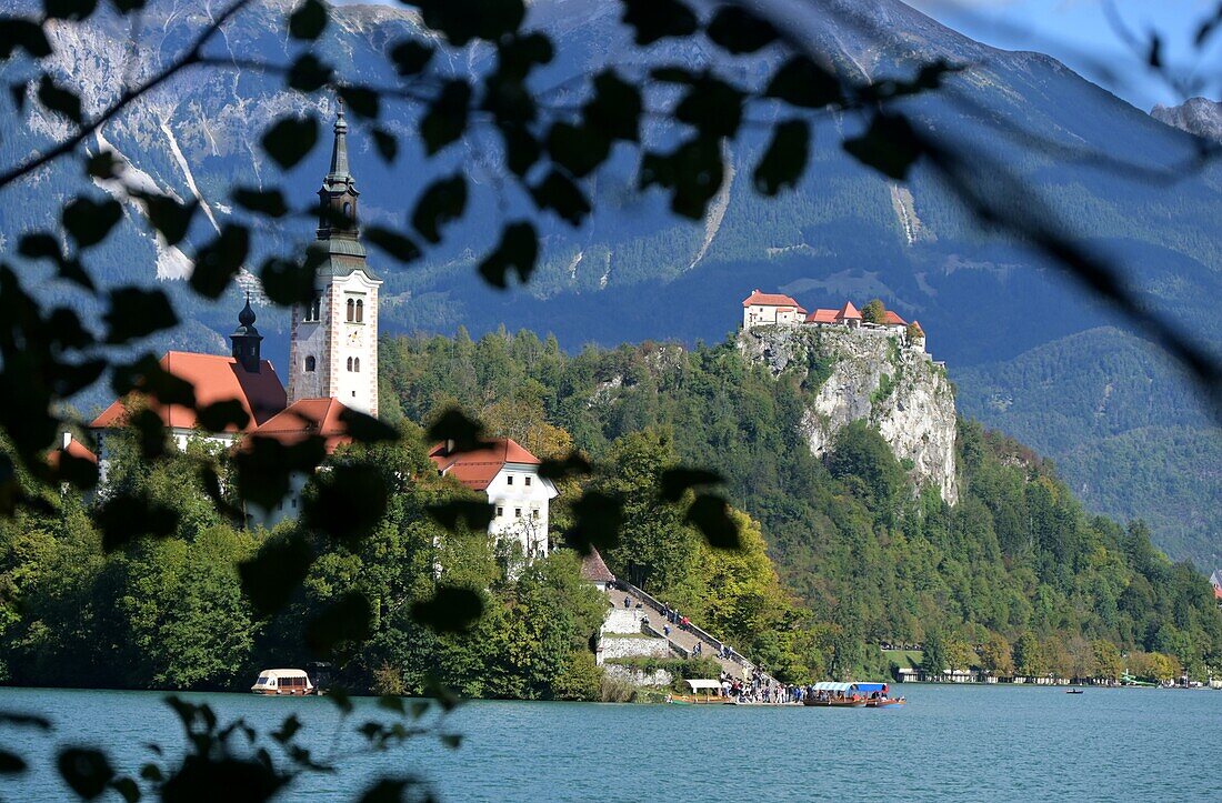  at Lake Bled with lake island Sveti Maria and castle, Bled, Julian Alps, Slovenia 