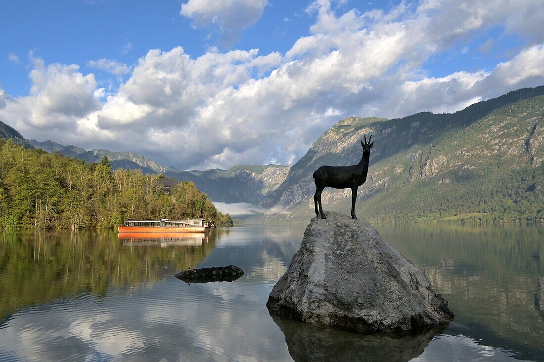  At Lake Bohinj near Ribcev Laz, Triglav National Park, Julian Alps, Slovenia 