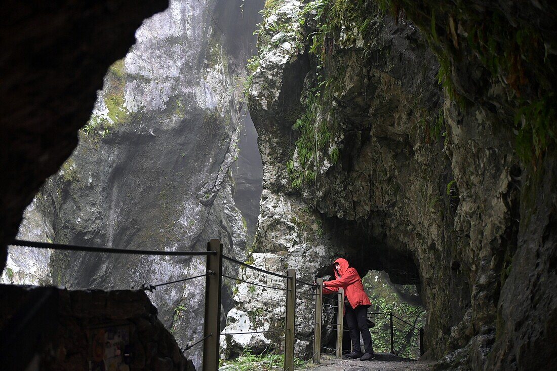 Tolminer Schlucht bei Tolmin am Soca-Fluss, westliche Julische Alpen, Slowenien