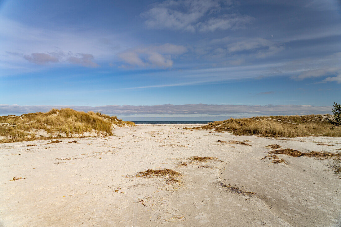  The Baltic Sea beach near Prerow, Mecklenburg-Vorpommern, Germany  