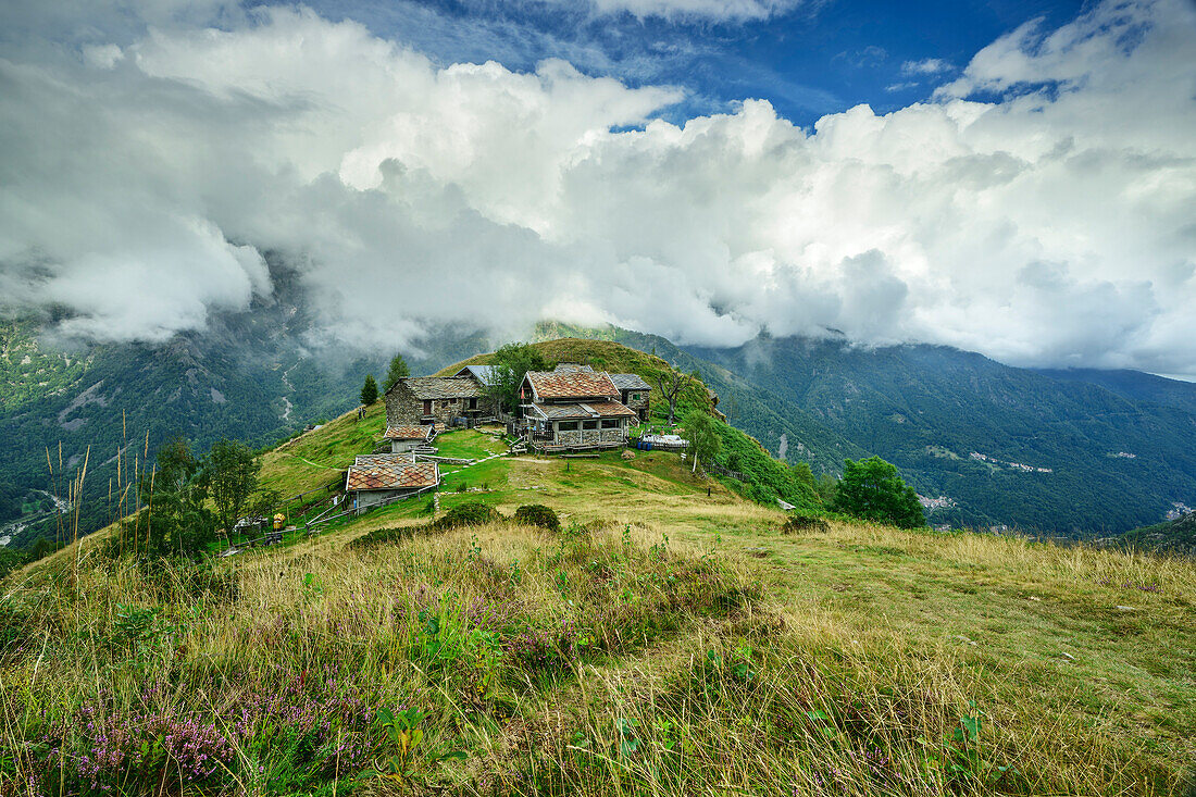  Alpine settlement Madonna della Neve on a meadow ridge, GTA, Grande Traversée des Alpes, Biella, Alpi Biellesi, Valais Alps, Piedmont, Italy 