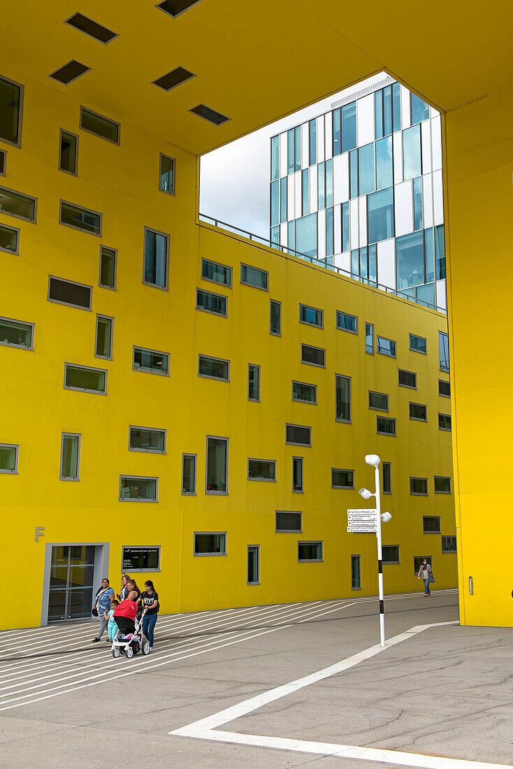 Ilot Gruner (Architect: Manuelle Gautrand), Administration building, Saint-Etienne,  Loire department, Auvergne-Rhone-Alpes region, France, Europe