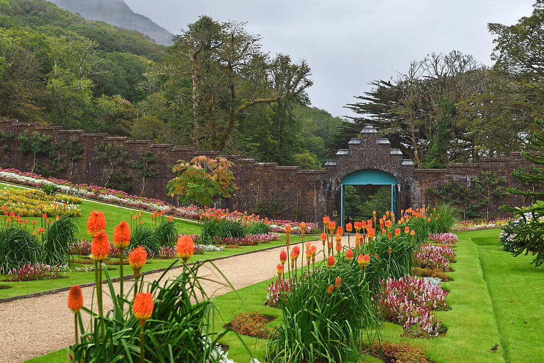 walled Victorian Gardens at Kylemore Abbey, County Galway, Connemara, Republic of Ireland, North-western Europe