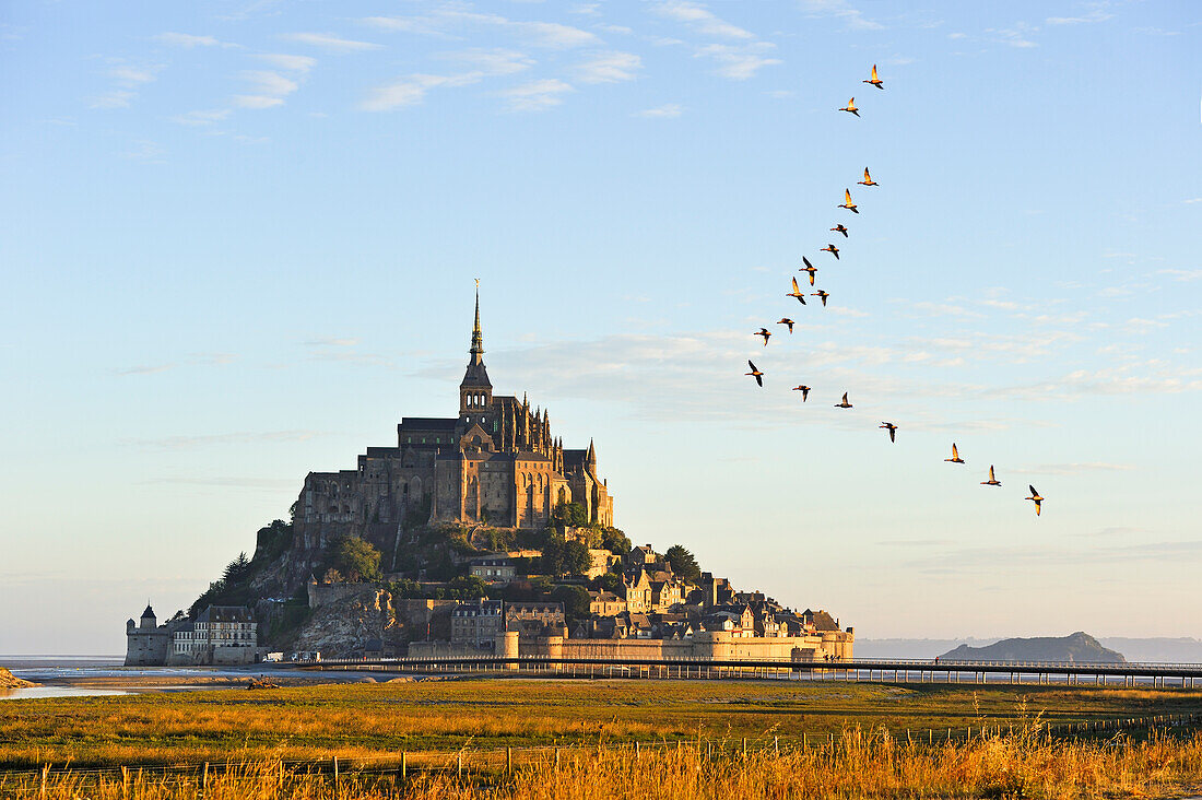 Blick zum Mont-Saint-Michel, Département Manche, Normandie, Frankreich, Europa