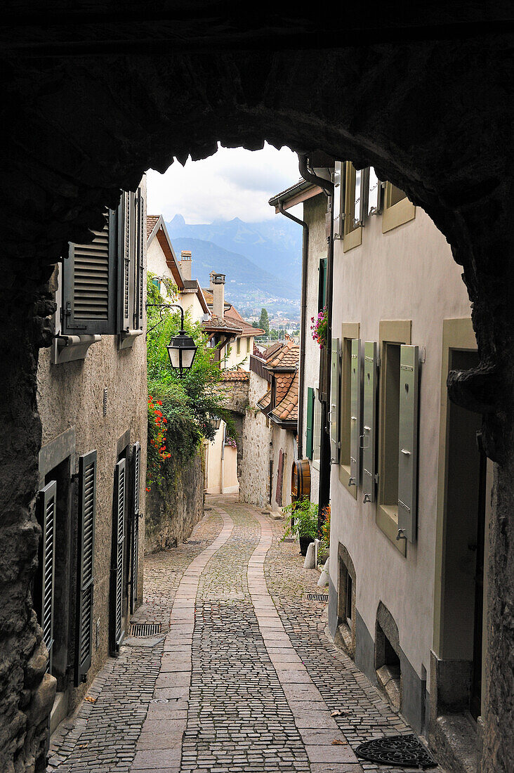 Mittelalterliches Dorf Saint-Saphorin inmitten der Weinberge des Lavaux am Ufer des Genfersees, rund um Lausanne, Kanton Waadt, Schweiz, Europa