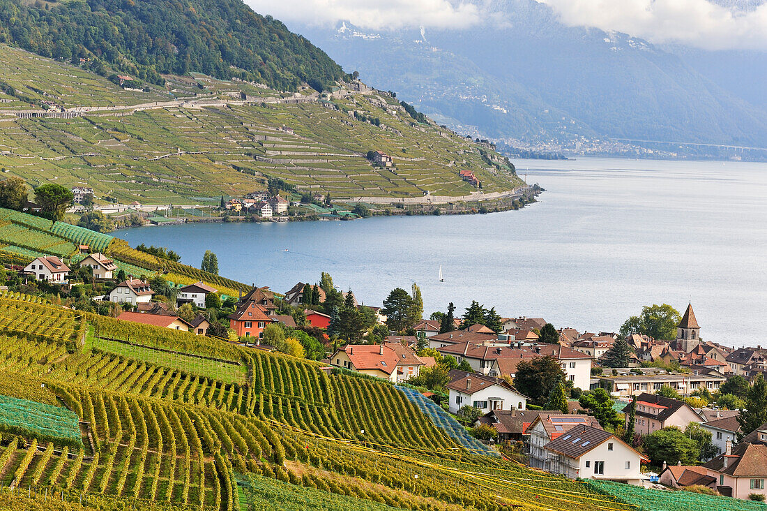 Blick auf Dorf Cully und Weinbergterrassen des Lavaux am Ufer des Genfersees, rund um Lausanne, Kanton Waadt, Schweiz, Europa