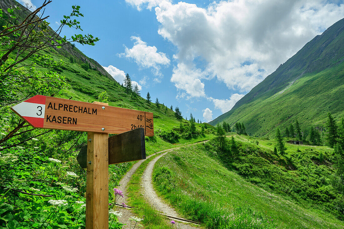  Hiking sign in Hasental, Ahrntal, Venediger Group, South Tyrol, Italy 