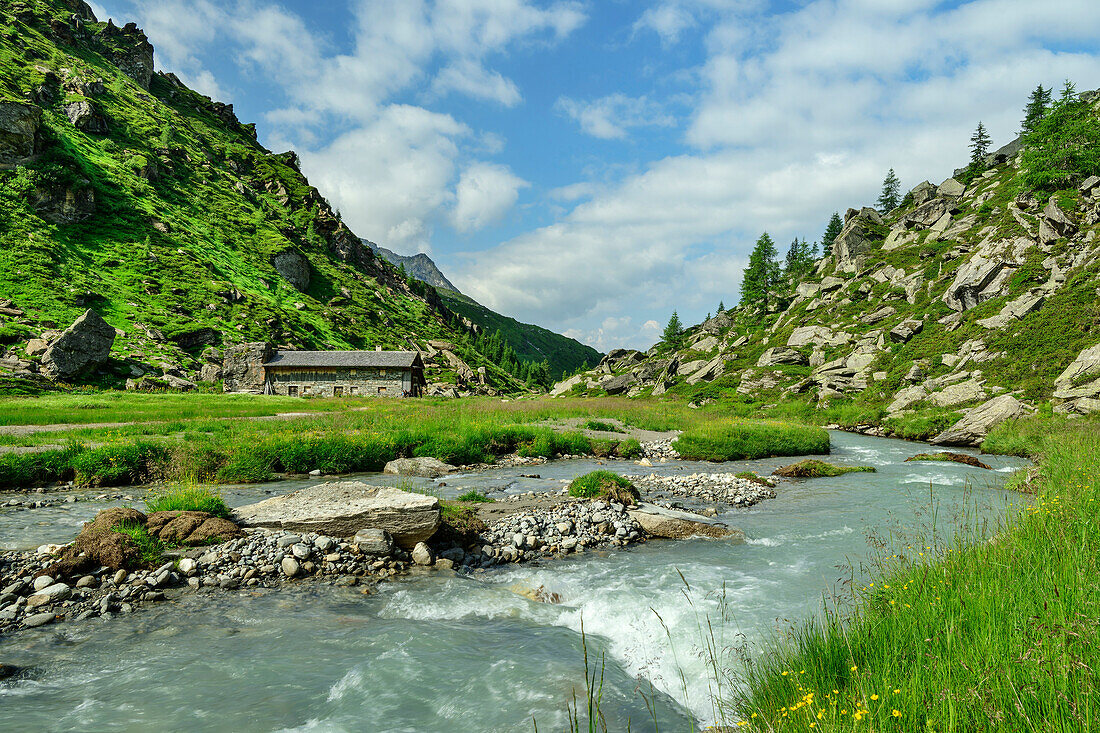 Bergbach fließt an Alm vorbei, Lahneralm, Ahrntal, Venedigergruppe, Südtirol, Italien