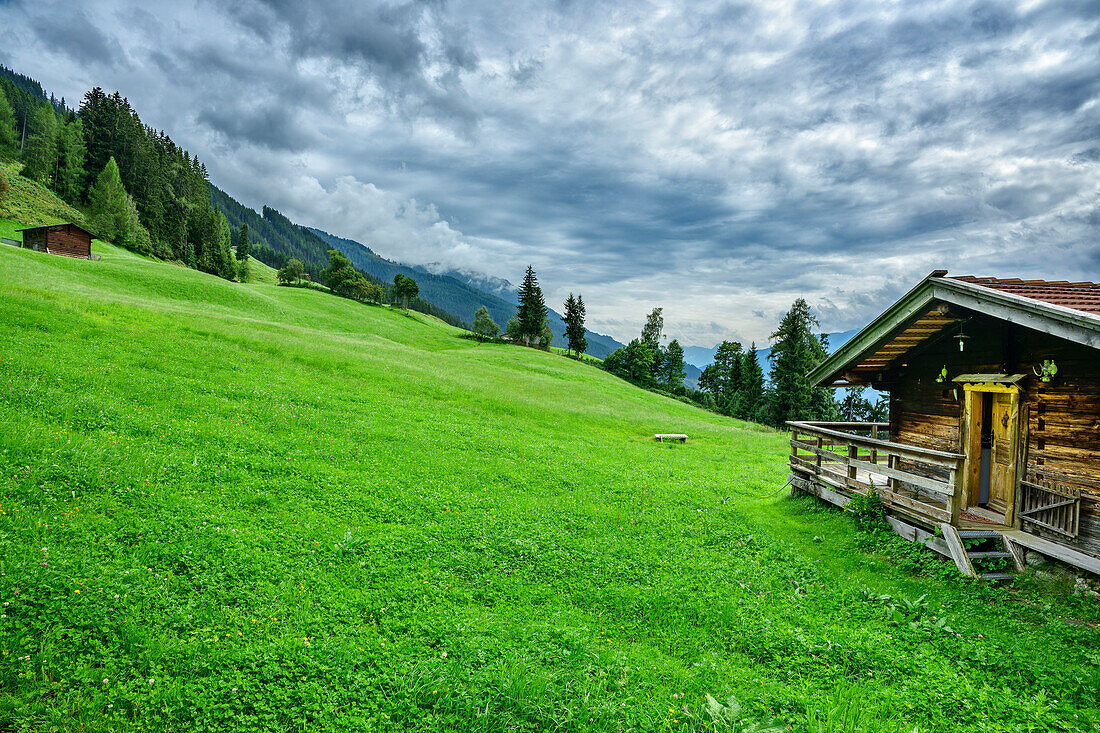  Alpine meadow with two alpine pastures, Kitzbühel Alps, Tyrol, Austria 