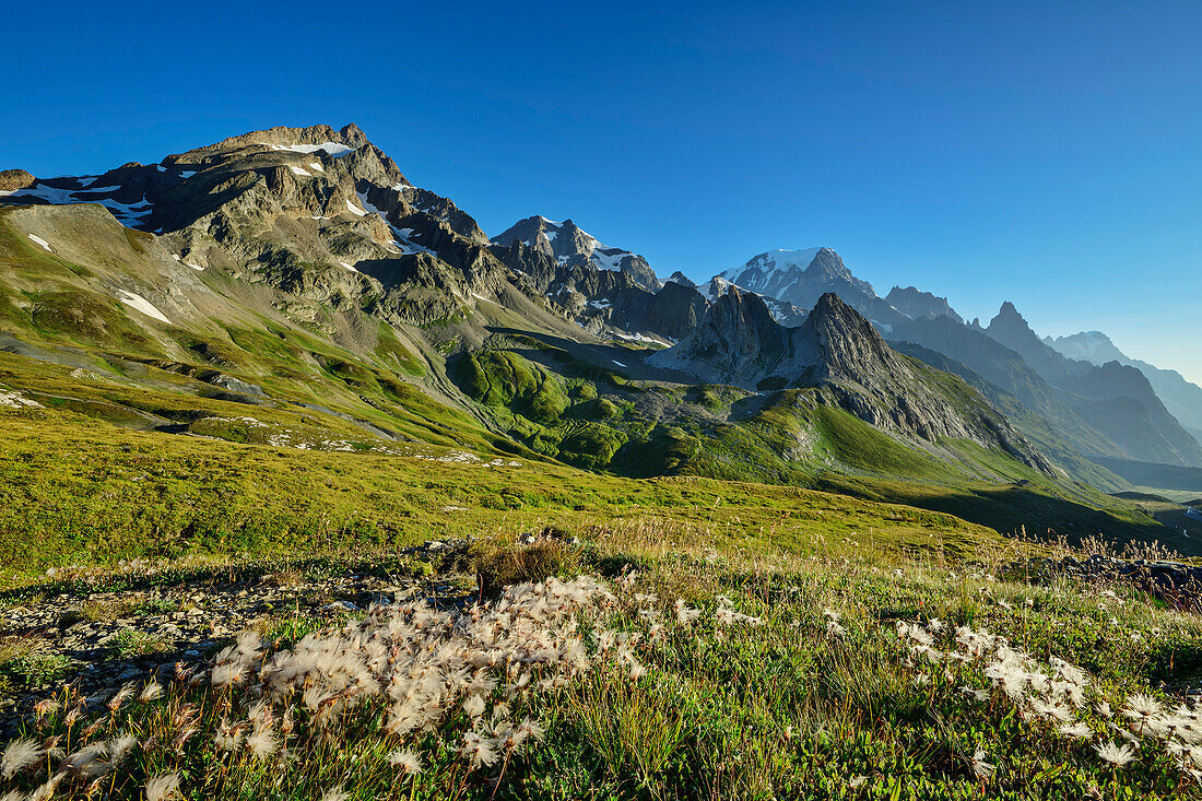  View from the Col de la Seigne to Val Veny, Aiguille des Glaciers and Mont Blanc, Val Veny, Tour du Mont Blanc, Mont Blanc Group, Graian Alps, Aosta Valley, Italy 