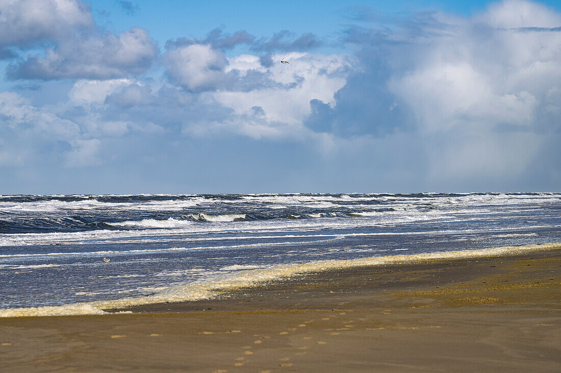 A serene beach scene with gentle waves lapping against the shore under a partly cloudy sky.