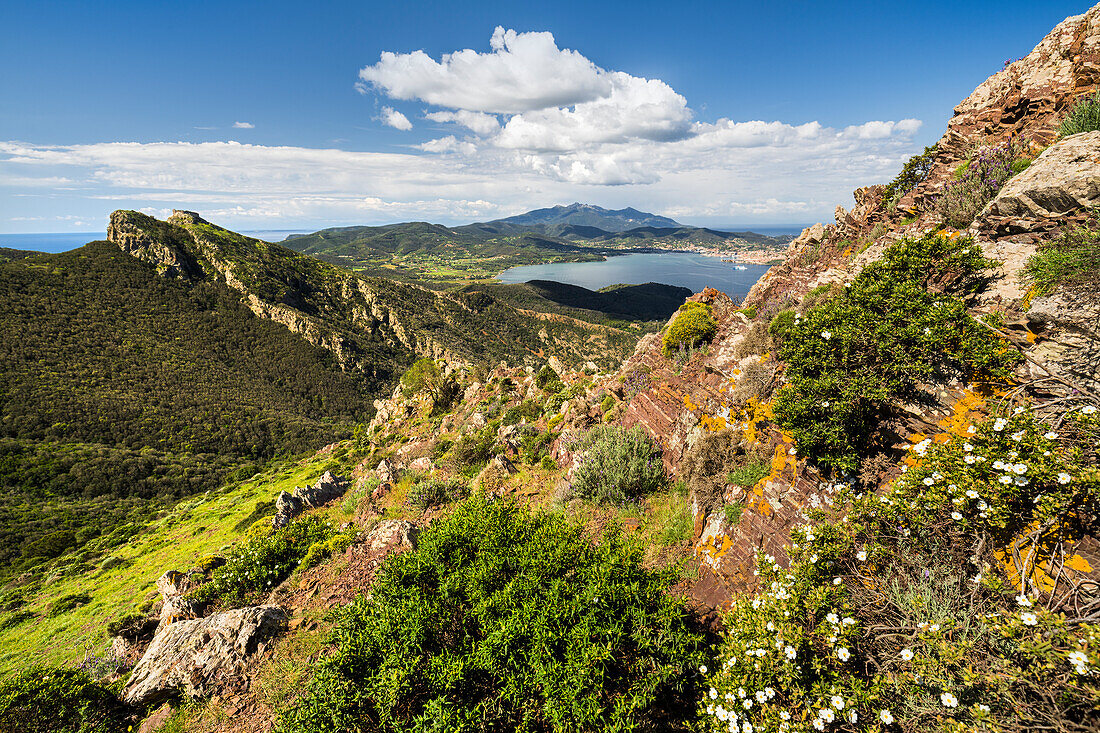  View over the bay of Portoferraio, Elba Island, Tuscany, Italy 