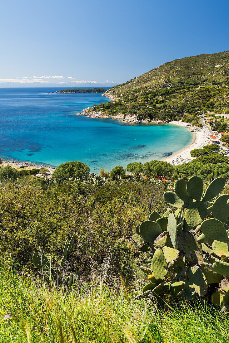 Blick auf die Bucht von Cavoli, Insel Elba, Toskana, Italien