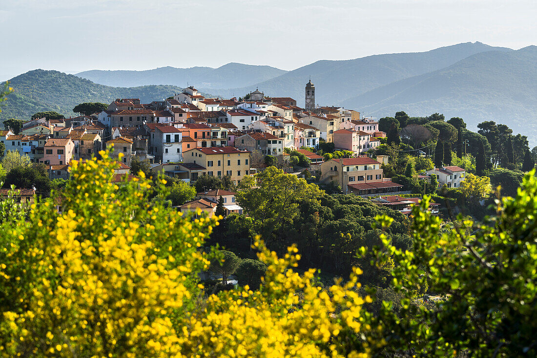  View of Sant&#39;Ilario in Campo, Elba Island, Tuscany, Italy 