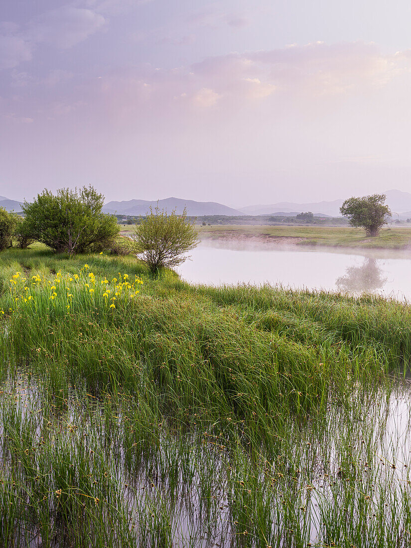  pond near Nikšić, Montenegro 