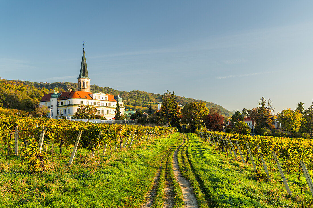  Water pipe path, Gumpoldskirchen Castle, St. Michael&#39;s Church, Lower Austria, Austria 