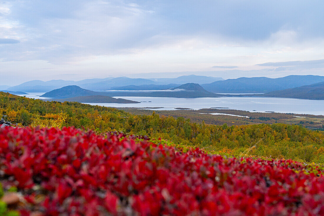  Sweden, Norrbotten County, Torneträsk (Abisko) 