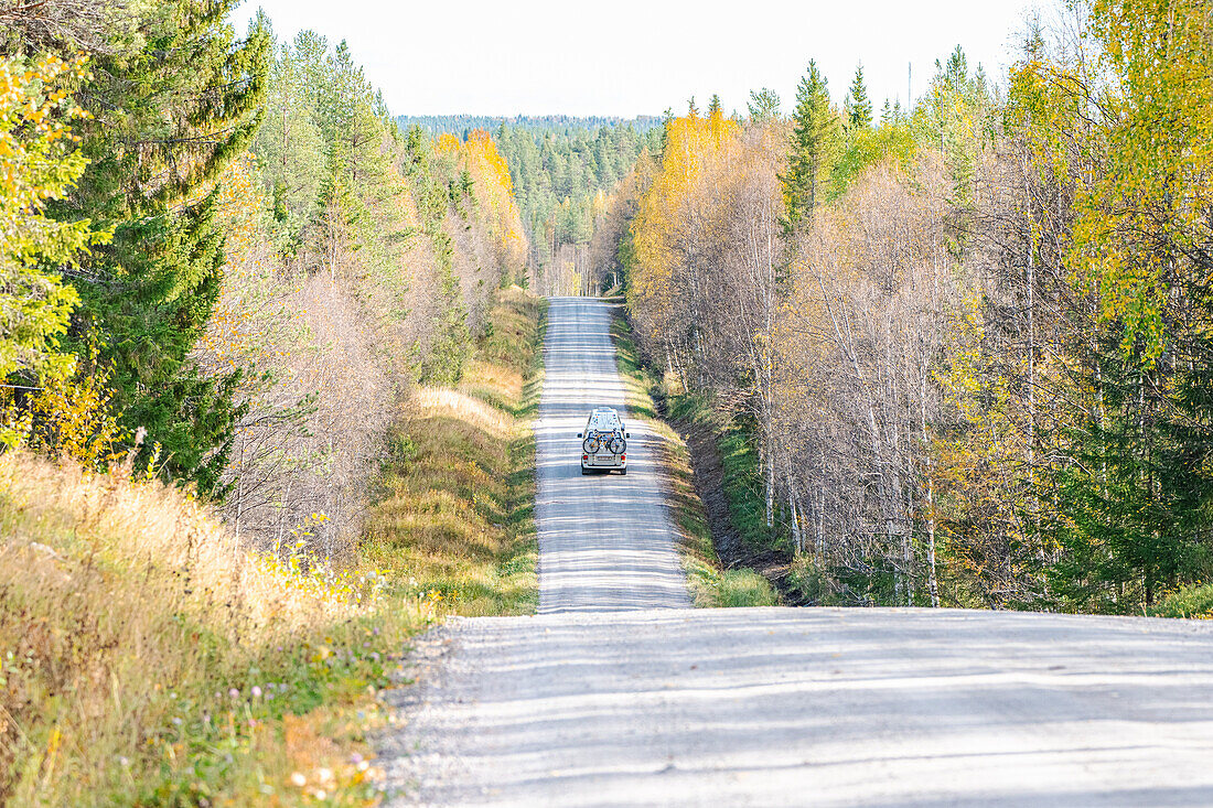 Finnland, Oulanka-Nationalpark, Wohnmobil auf Straße durch Wald im Herbst