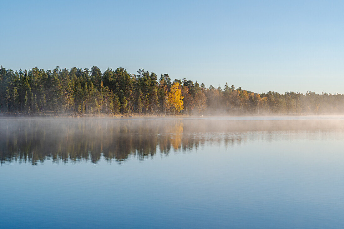 Finnland, Lappland, Inari, Blick auf See und Wald am Morgen