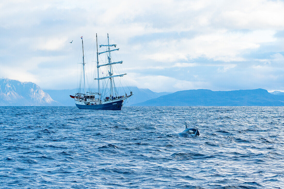  Norway, Skjervøy 