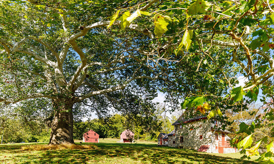  Brandywine Battlefield Park with historic Sycamore and Gilpin House, Blacksmith Shop and Barn in the Brandywine Valley near Chadds Ford, Delaware County, Pennsylvania, USA 