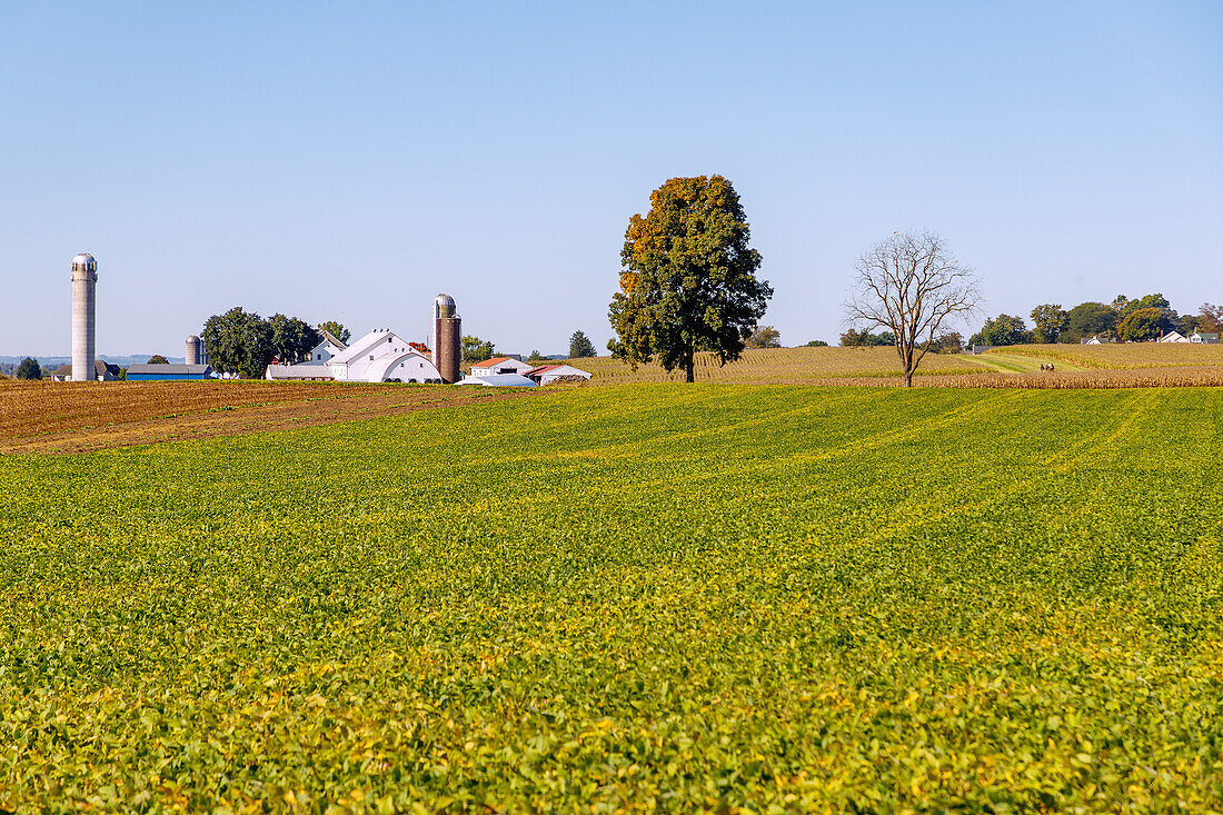  Landscape with farm and grain silo near Strasburg in the Pennsylvania Dutch Country in Pennsylvania, USA 