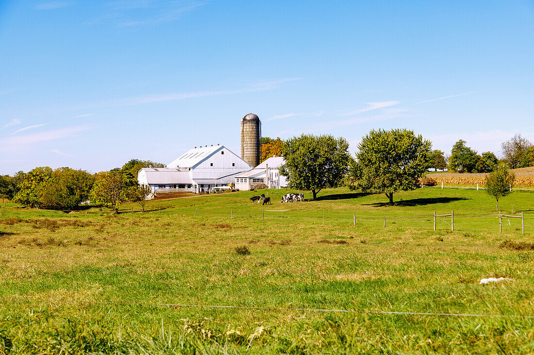  Landscape with farm and grain silo near Strasburg in the Pennsylvania Dutch Country in Pennsylvania, USA 