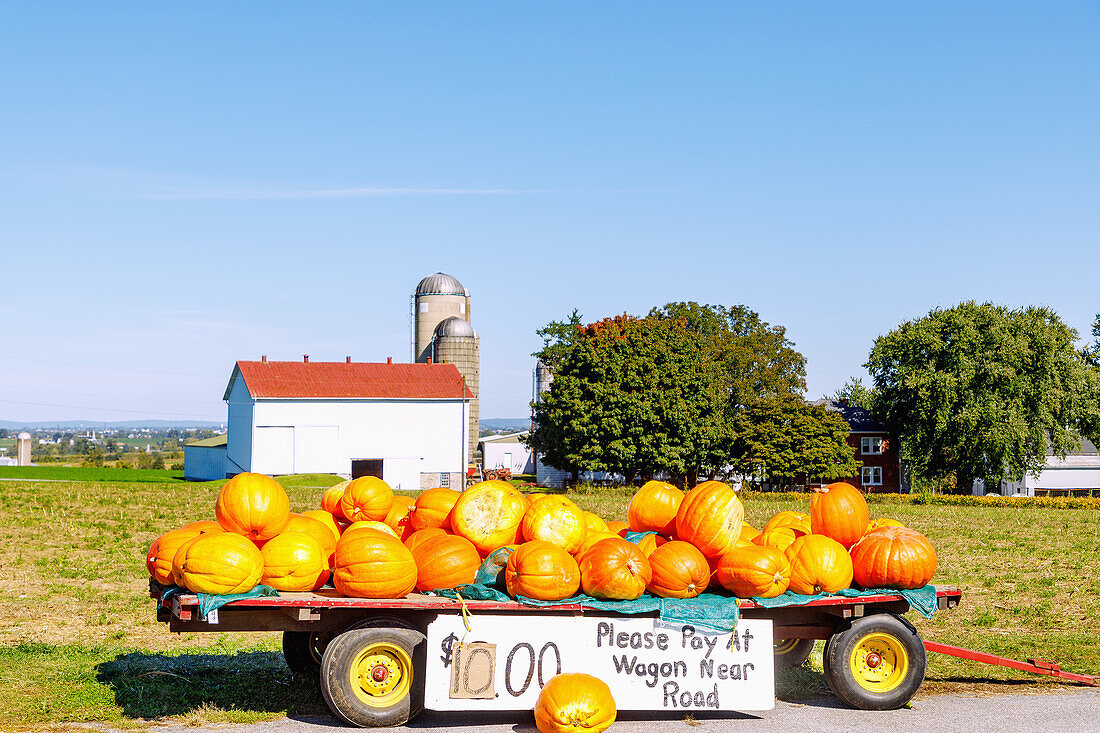 Kürbisse zum Verkauf mit Blick auf Farm und Getreidesilo bei Strasburg im Pennsylvania Dutch Country in Pennsylvania, USA