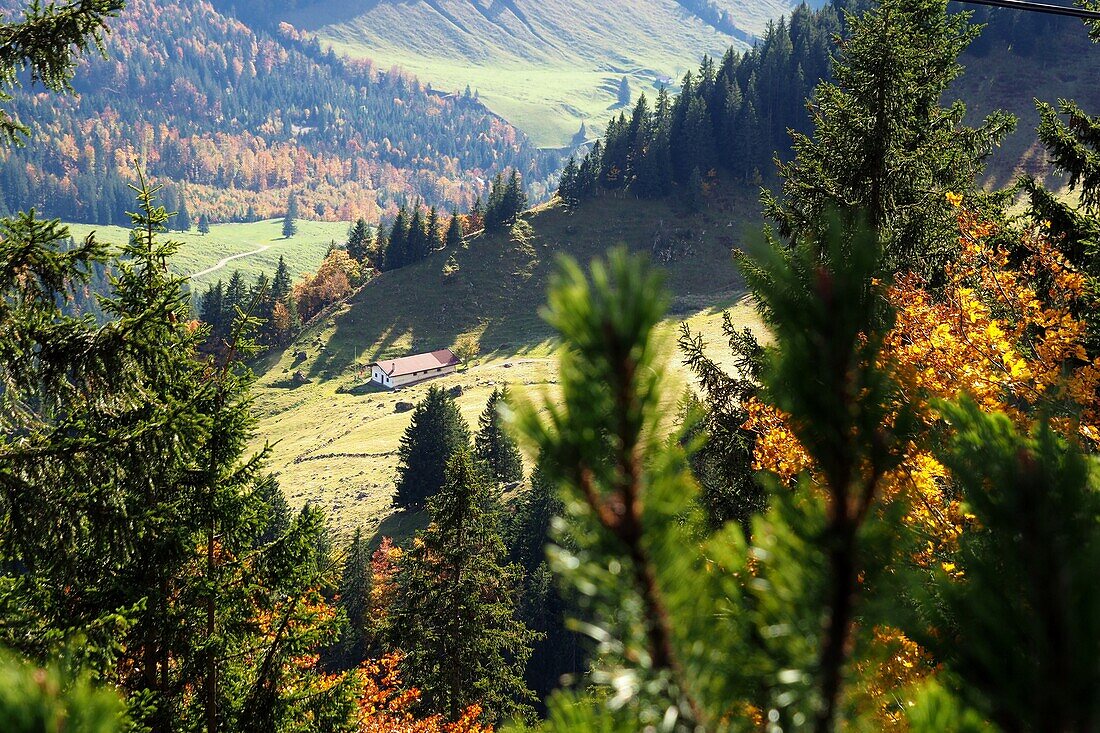 Blick vom Hochries am Samerberg ins Tal, Chiemgau, Ober-Bayern, Deutschland