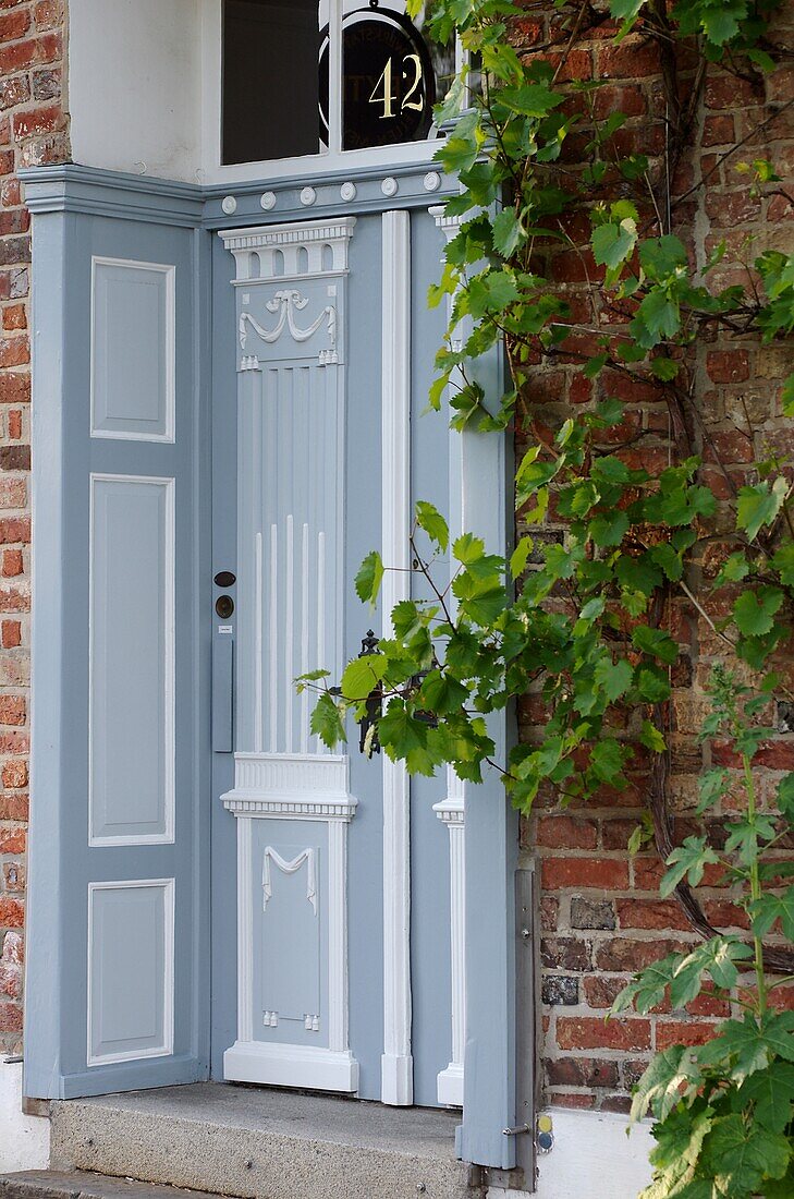  Historic front door in an old town house, next to it a vine climbs as facade greenery 