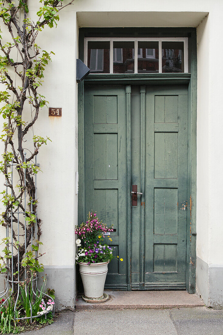  Old front door with plant pot in front 